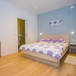 Three-bedroom Mir With Private Infinity Pool Vošteni