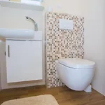 Apartament Three-bedroom Mir With Private Infinity Pool Vošteni