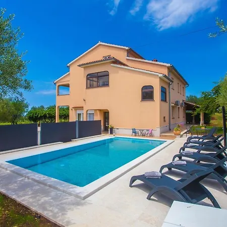 Three-bedroom Mir With Private Infinity Pool Apartment Vosteni
