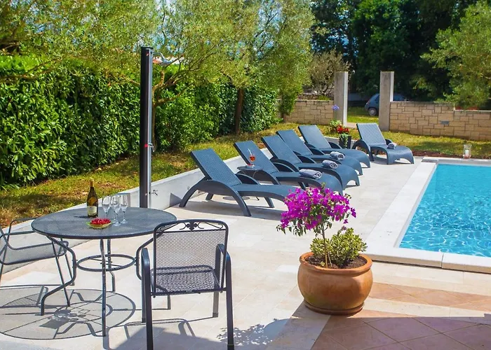 Three-bedroom Mir With Private Infinity Pool Apartman Vosteni